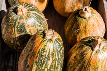 Fairy, Fairykürbis, Kürbis, Cucurbita Moschata, Speisekürbis, Herbst, Herbstmarkt, Ernte, Schweiz