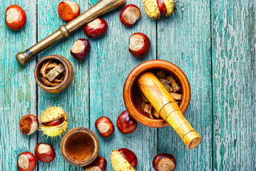Chestnut in herbal medicine