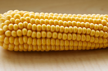 Ripe corn of yellow color in detail.