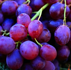  Bunch of  grapes  together on a market stall stock photo