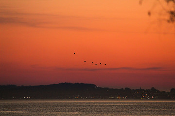 sunset