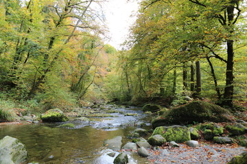 Obraz premium paisajes 