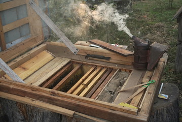 an open hive 