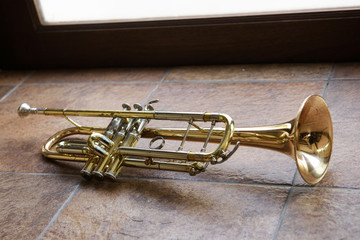 Trumpet is blowing instrument which made from brass.