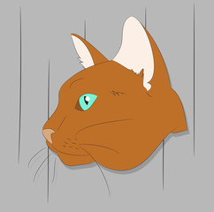 vector illustration of a portrait of a cat on a colored background