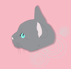 vector illustration of a portrait of a cat on a colored background