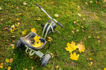 Bike with autumn leaves