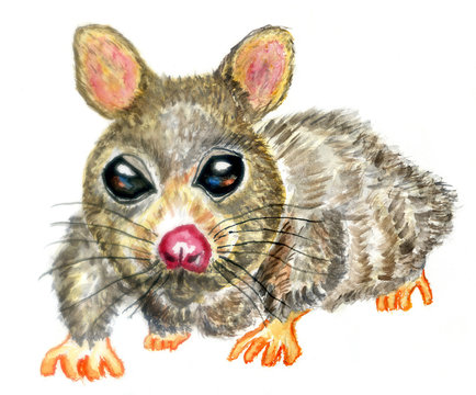 Cartoon painted rat