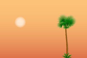 Palm tree on the sea coast at sunset