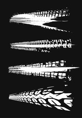 Automobile tire tracks