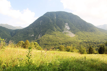 Fototapeta na wymiar Mountains meadow in Soca river valley, Slovenia