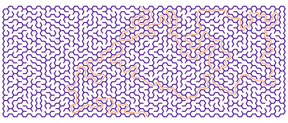 Panoramic hexagonal maze with solution. Vector illustration.