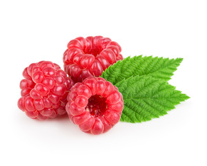 Three berry of raspberries