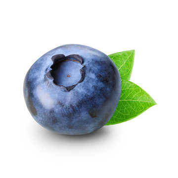 One berry of blueberry
