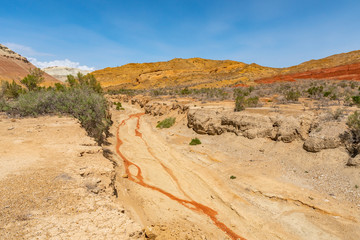Altyn Emel National Park 19