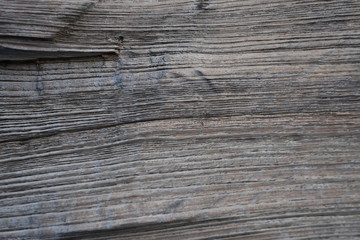 Fototapeta premium wood background