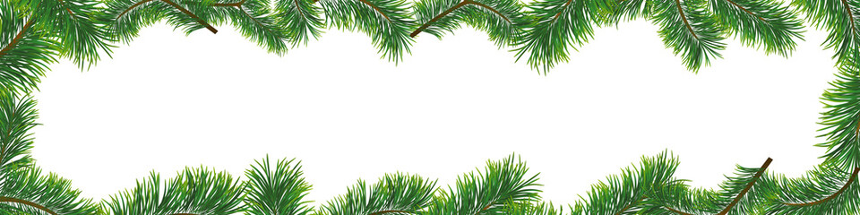 Fototapeta na wymiar Christmas background with fir branches. Vector illustration with frame and copy space