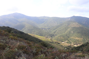 Fototapeta premium Massif de la Massane