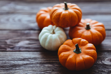 Obraz premium A group of miniature pumpkin on a wooden slat background