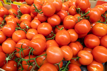 Delicious ripe red branch tomatoes at grogery store or farmer's market. Summer tray market agriculture farm full of organic vegetables, can be used as background.