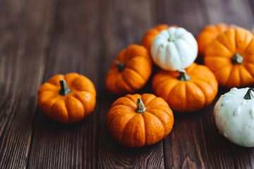 A group of miniature pumpkin on a wooden slat background