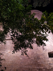 a girl's tower in the dark night at the branches of a tree