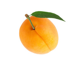 Apricot with leaf  isolated on white background with clipping path