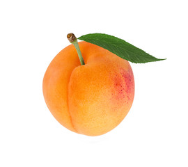 Apricot with leaf  isolated on white background with clipping path