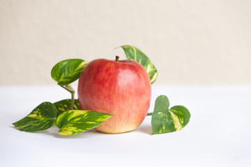 赤いりんごとポトスの緑の葉