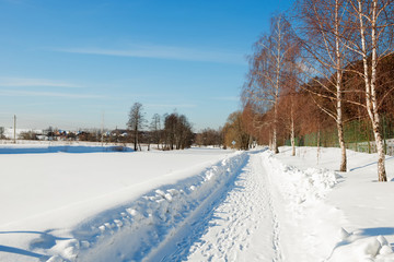Fototapeta na wymiar Walking road through the park on a winter day