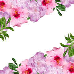 Beautiful floral background of peonies and hibiscus. Isolated