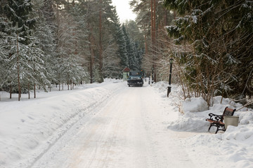 Walking road through the park on a winter day