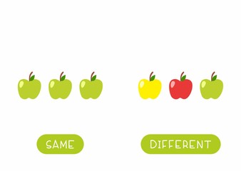 Educational word card for children vector template. Flash card for language studying with apples. Antonyms, diversity concept. Same and different fruits flat illustration with typography