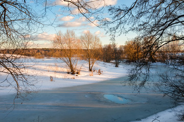 Wormwood on a frozen river on a winter day