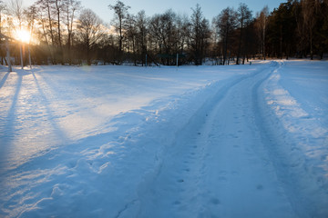 Fototapeta premium Walking road through the park on a winter afternoon at sunset