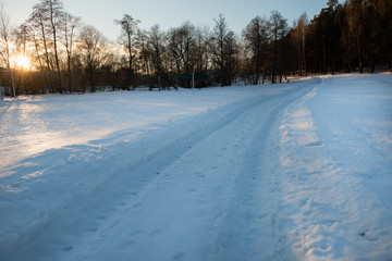 Fototapeta na wymiar Walking road through the park on a winter afternoon at sunset