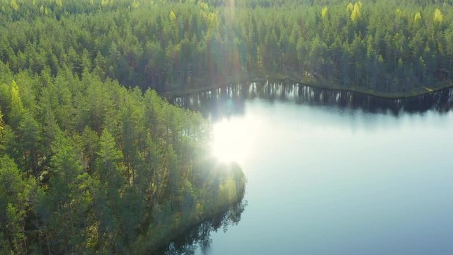 DRONE aerial shot of sunlight reflecting on a calm lake surface in the wilderness. Slowly forwarding.
