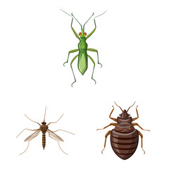 Vector illustration of insect and fly icon. Collection of insect and element stock vector illustration.