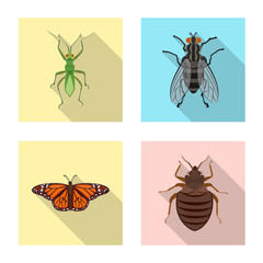 Isolated object of insect and fly icon. Set of insect and element stock symbol for web.