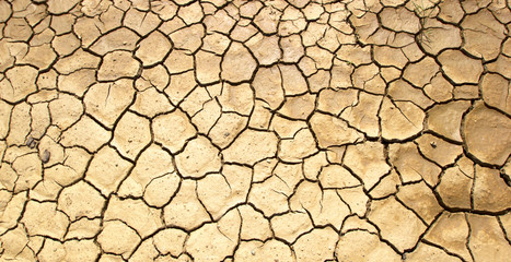 The ground is brown caused by drought