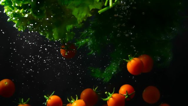 
A group of many ripe cherry tomatoes, bunches of dill and lettuce fall into the water on a black background with dramatic light, creating much bubbles. Slow motion 200  FPS 