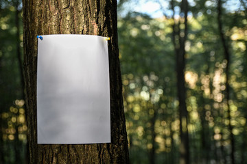 Announcement,ads on the tree. Copy space for text.