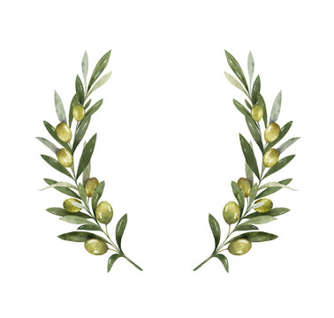 Watercolor vector wreath of olive branches and berries.