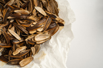 Background empty Sunflower seed shells