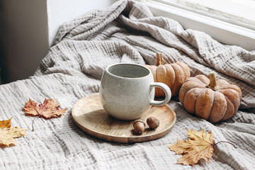 Cozy autumn morning breakfast still life scene. Cup of hot coffee, tea standing on wooden plate near window. Fall, Thanksgiving concept. Orange pumpkins, acorns and maple leaves on cotton plaid.