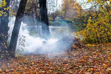 Smoke from burning autumn leaves in the Park. Selective soft focus.