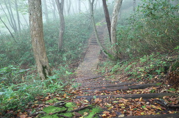 日本の鳥取県の奥大山の美しい登山道