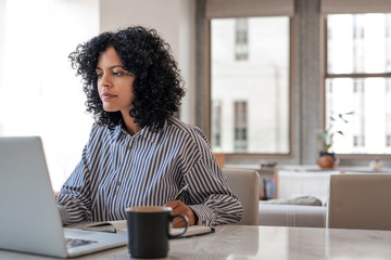 Young female entrepreneur working on a laptop at home