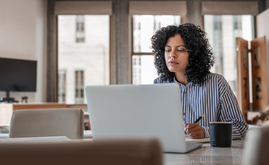 Fototapeta na wymiar Young female entrepreneur working on her laptop at home