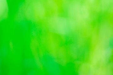 defocused shot of green grass in the daylight
